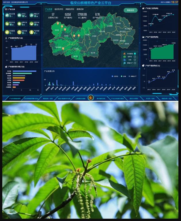 移动互联网时代：手机客户端流量崛起，直播平台百花齐放