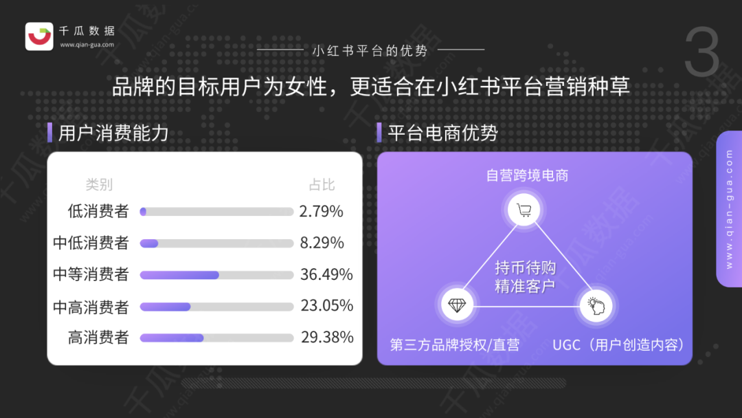 南荷业务网：提供全面个性化高效 SEO 服务，助力企业网络营销