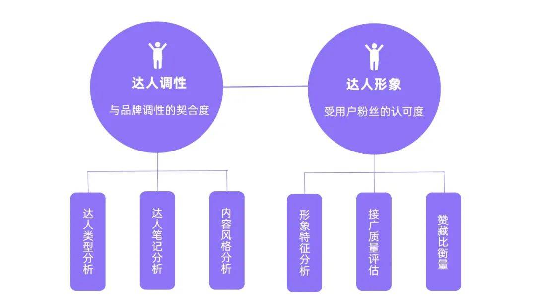 小红书业务分析_小红书业务分析报告_小红书业务分析怎么写