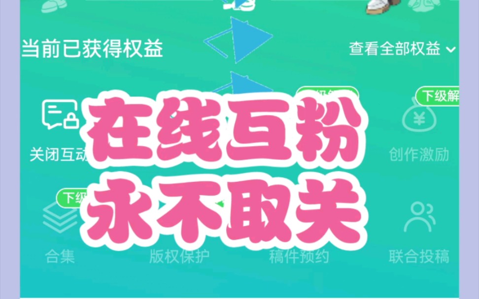 网红商城 app：24 小时