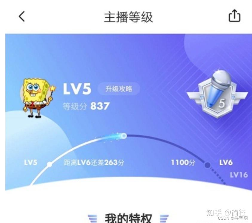 新浪微博红 V、橙 V、