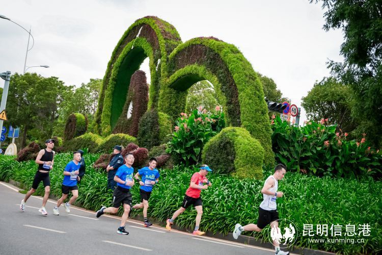 昆明169路_昆明路小学_昆明路160号