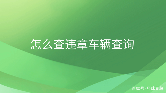 沈阳机动车违法查询_查询违章沈阳车辆怎么查_沈阳查询车辆违章查询