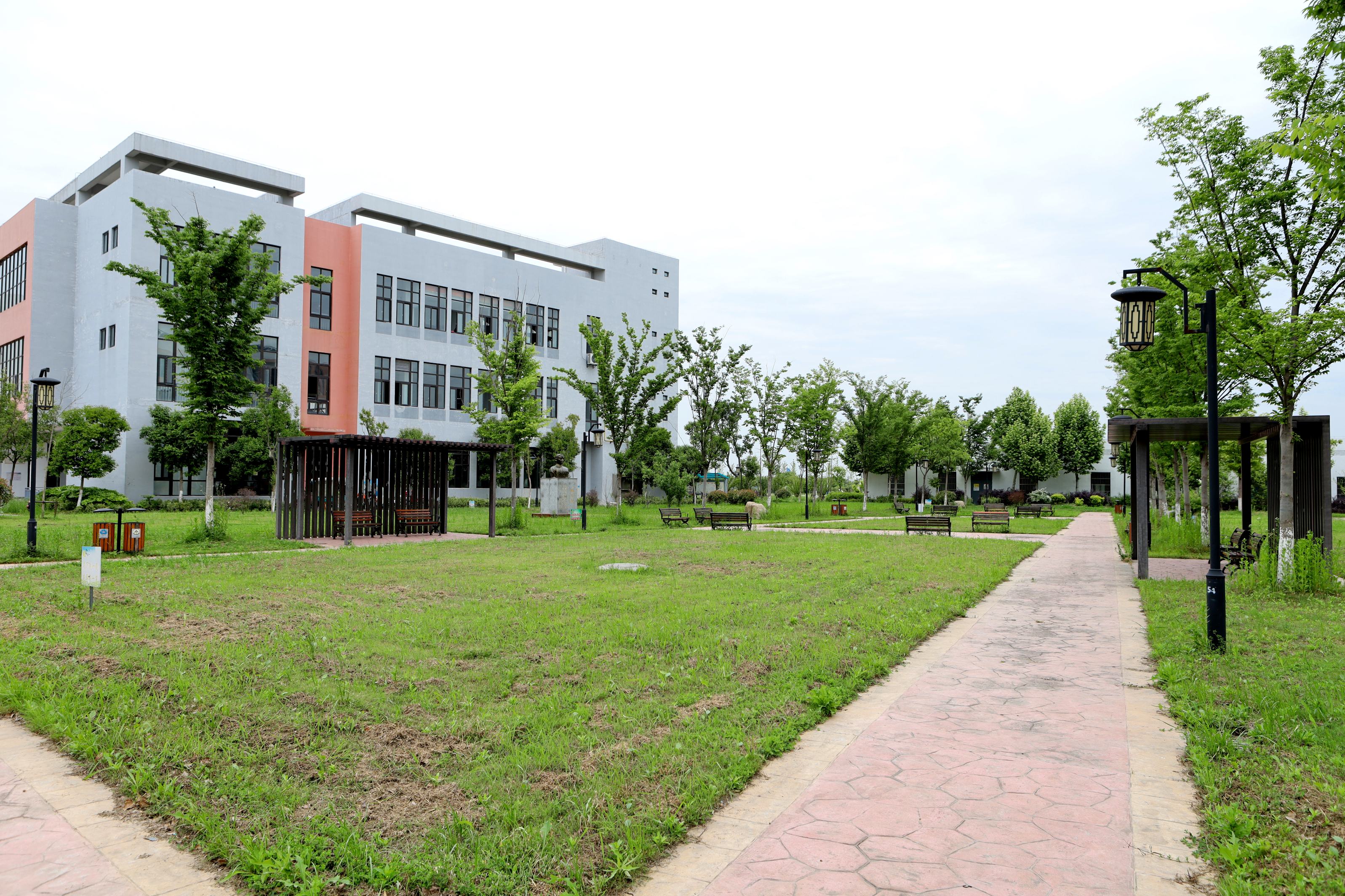 芜湖鸠江教育局_芜湖鸠江区教育集团_芜湖市鸠江区教育网