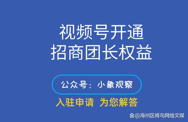 抖音播放量买有用吗_抖音买播放量_抖音播放量买入