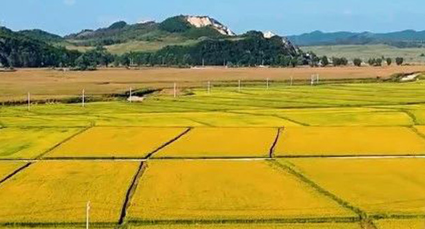 芜湖鸠江区政府要搬迁了_芜湖鸠江区拆_芜湖市鸠江区政府搬迁