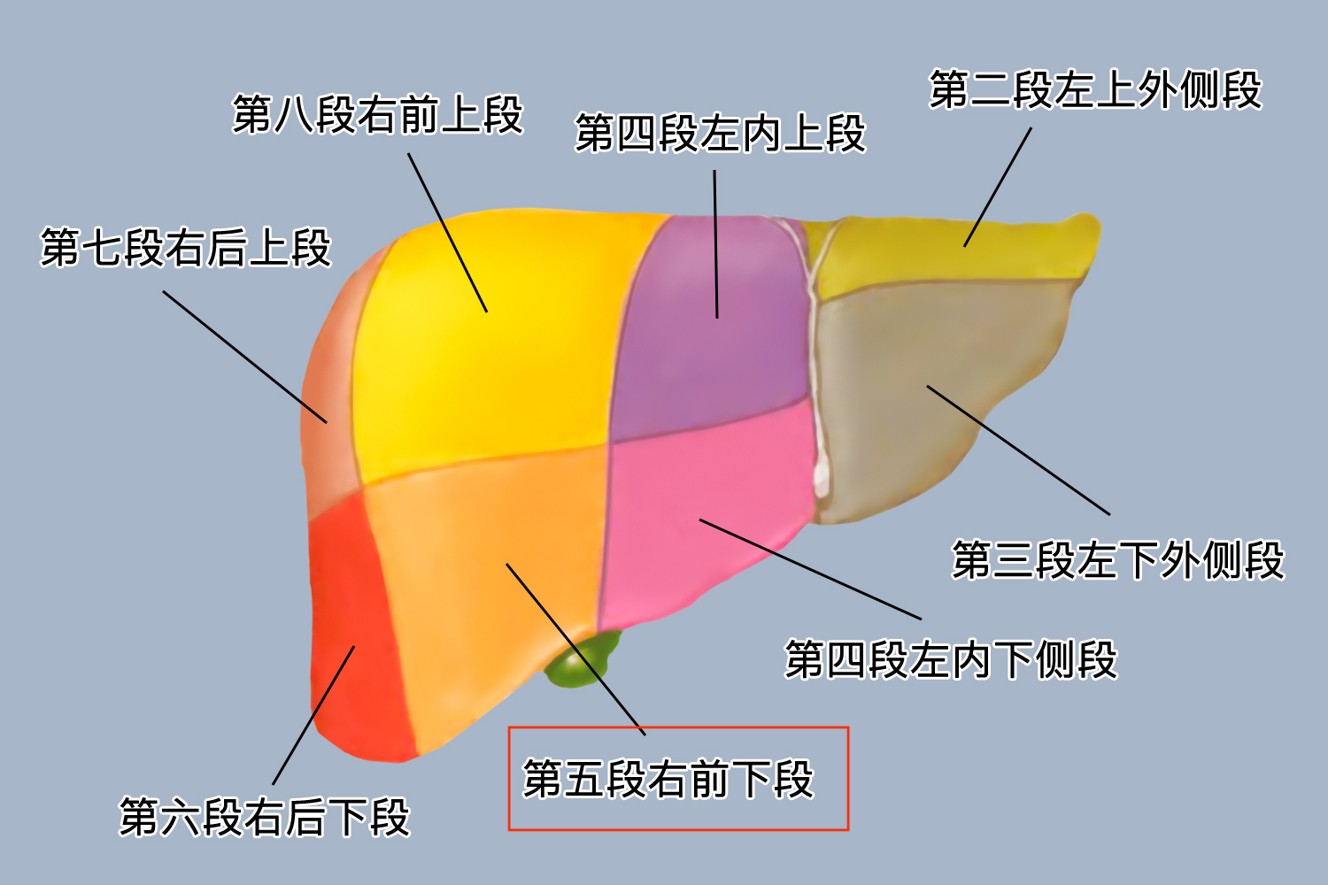 官渡古镇169_古镇官渡旧货市场地址_古镇官渡图片高清