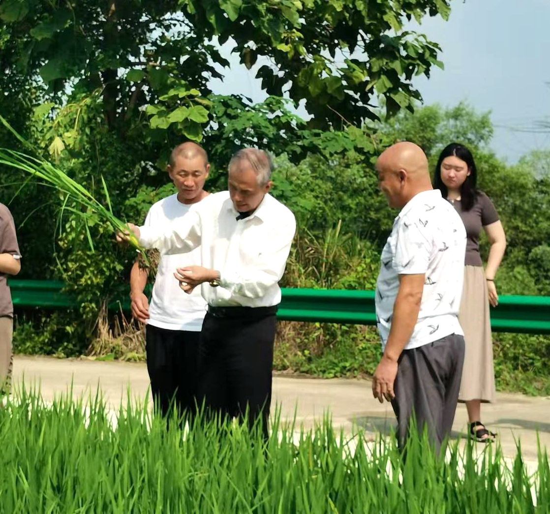 芜湖鸠江区区长_芜湖市鸠江区原区委书记_芜湖市鸠江区领导