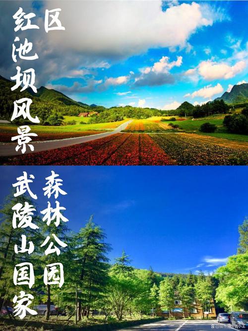 川师大一中龙泉校区怎么样_川师大一中龙泉校区_龙泉川师大附属第一实验中学