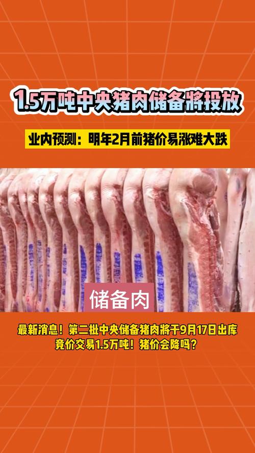 昆明路160号_昆明169路_昆明路16号桥