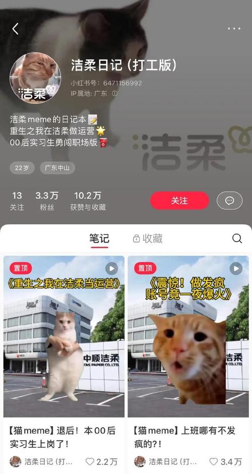 小红书粉丝如何涨_小红书涨粉有什么好处吗_小红书涨粉能赚钱吗